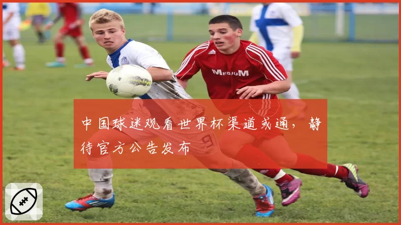 中国球迷观看世界杯渠道或通，静待官方公告发布