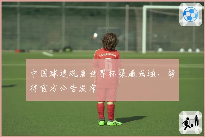 中国球迷观看世界杯渠道或通，静待官方公告发布